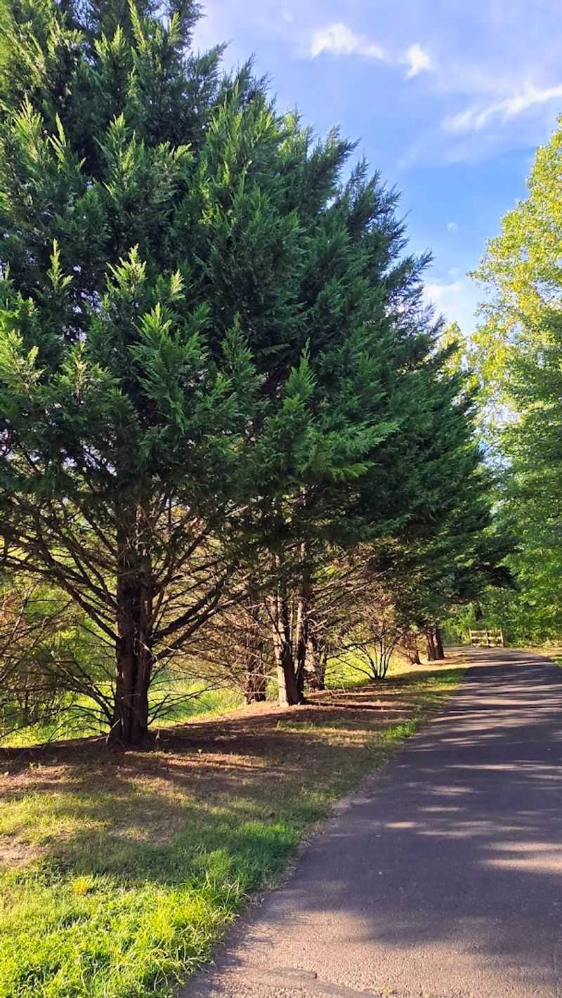 Walking and Biking Trails Across 108 Acres of Green Space