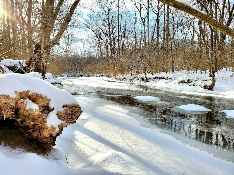 Seasonal Beauty Year-Round