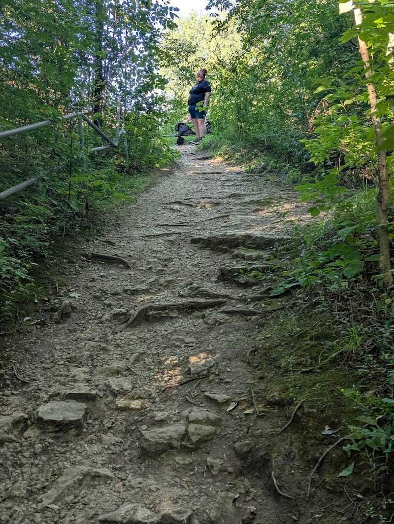 Trail Variety for Different Skill Levels