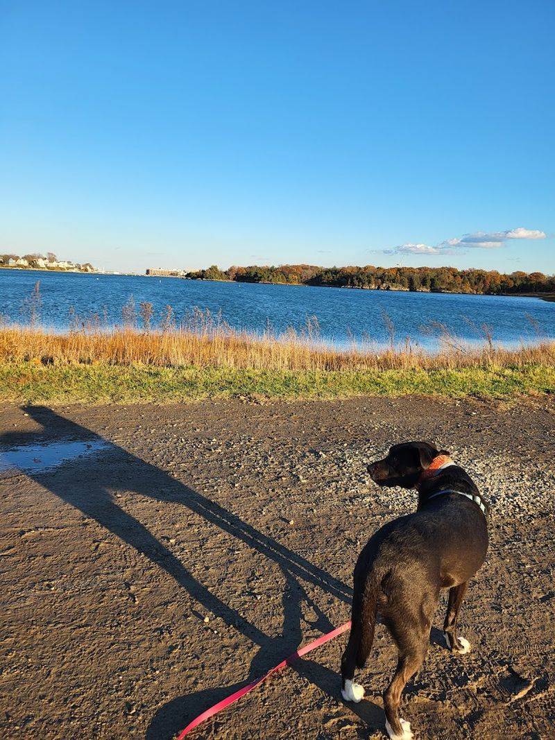 Dog-Friendly Trails and Pet Policies