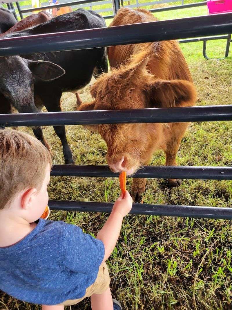 A Family-Friendly, All-Day Destination