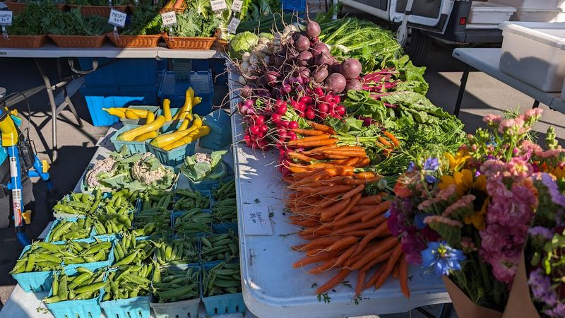 Chapel Hill Farmers Market &ndash; Chapel Hill