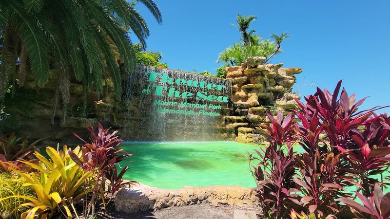 Amenities, Food, And Comfort