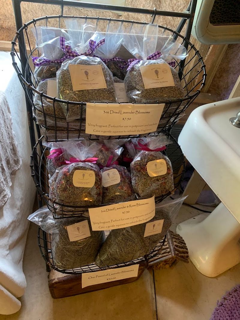 Using Your Lavender at Home