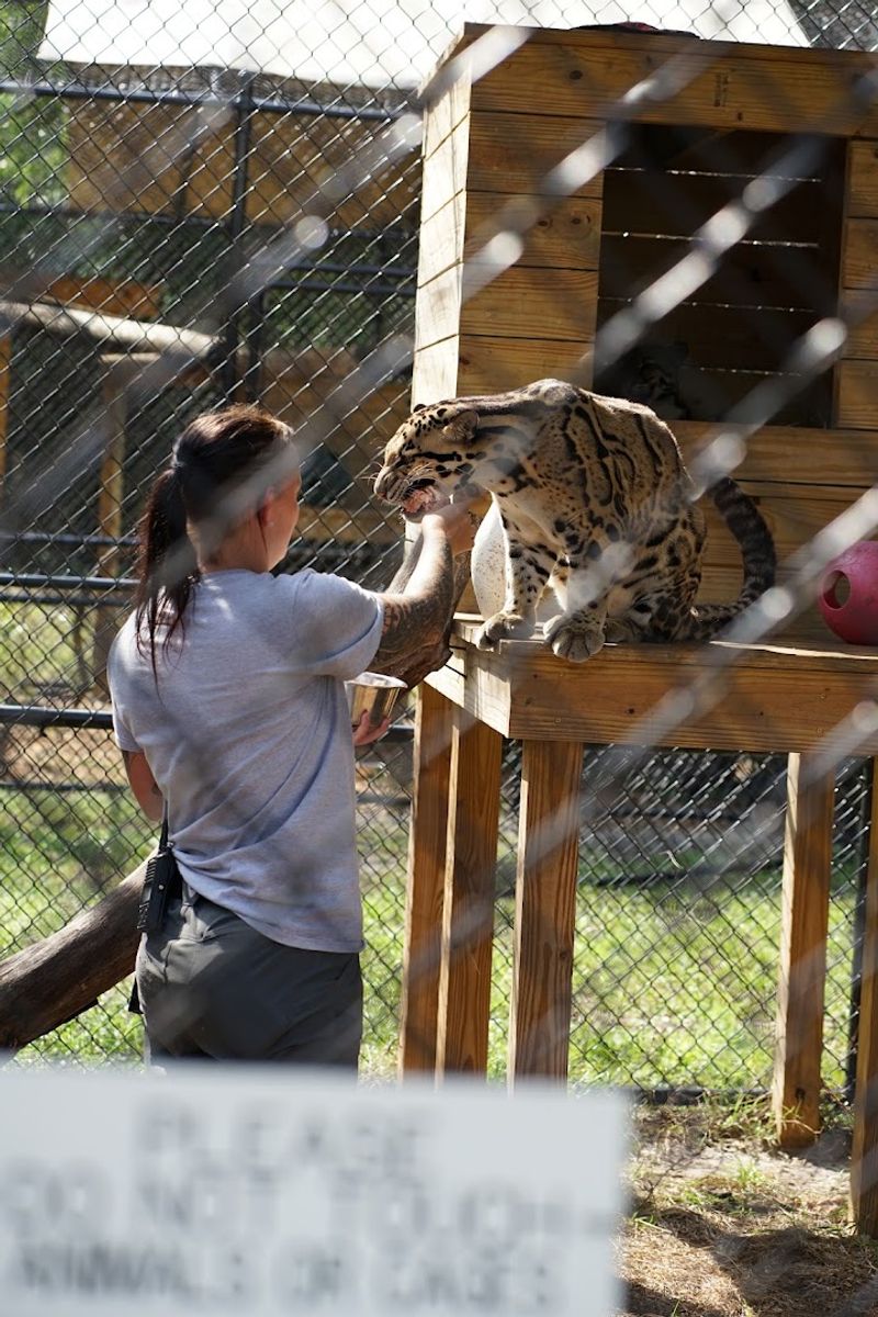 Community Impact and How to Help