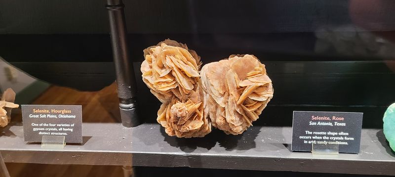 School Programs, Clubs, and Workshops