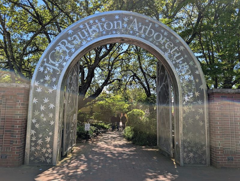 Weddings, Events, and Picnics