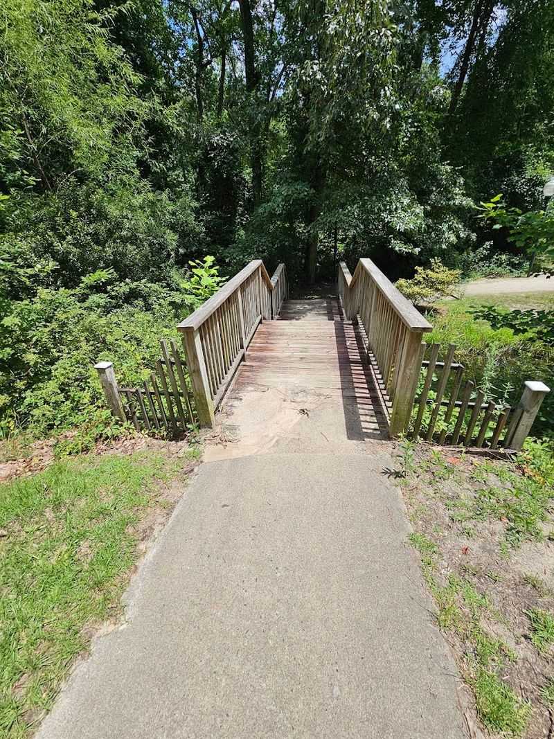 Accessibility and Trail Conditions