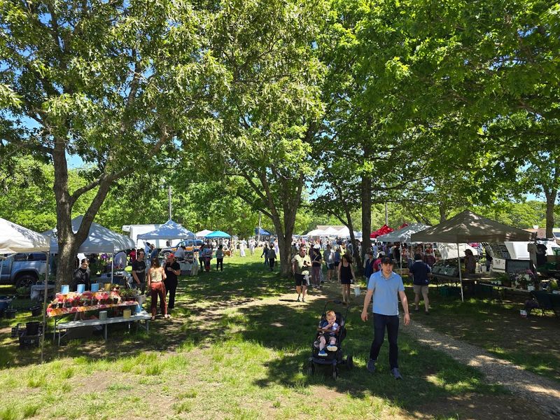 West Tisbury Farmer's Market