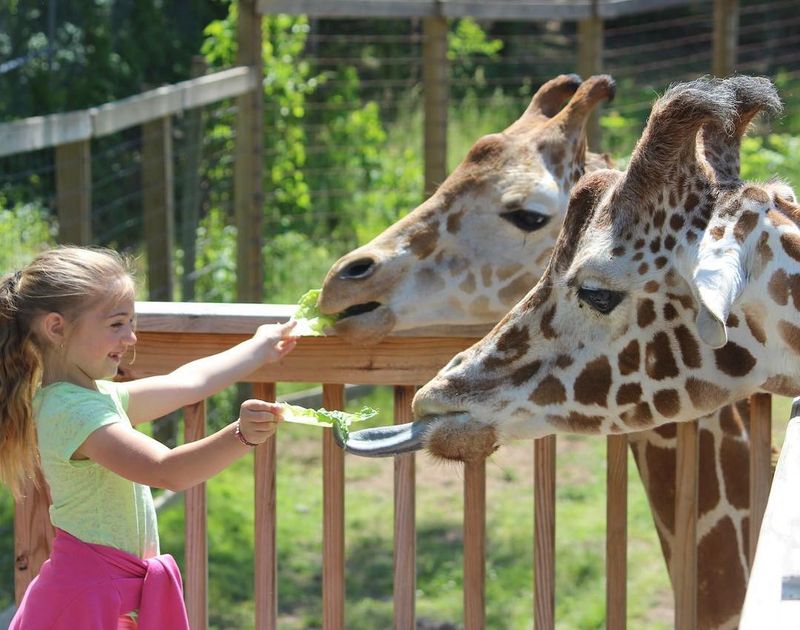 Elmwood Park Zoo (Norristown, PA)