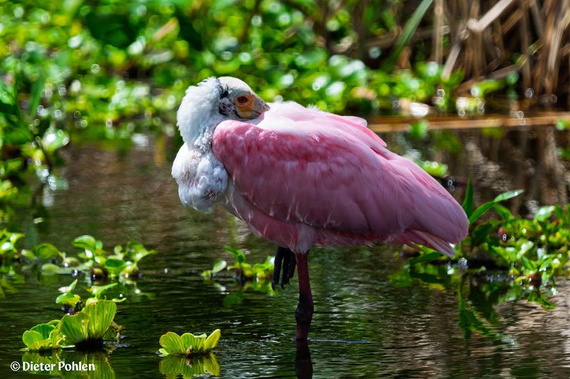 A Photographer's Dream Destination