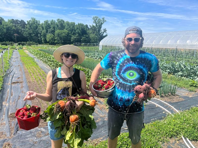 WildSide Farm (Chapel Hill)