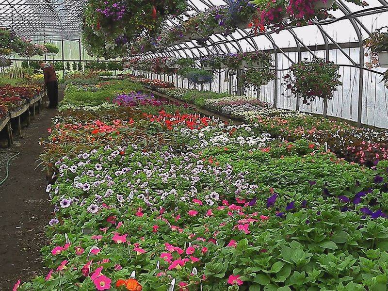 Stillman&rsquo;s Farm