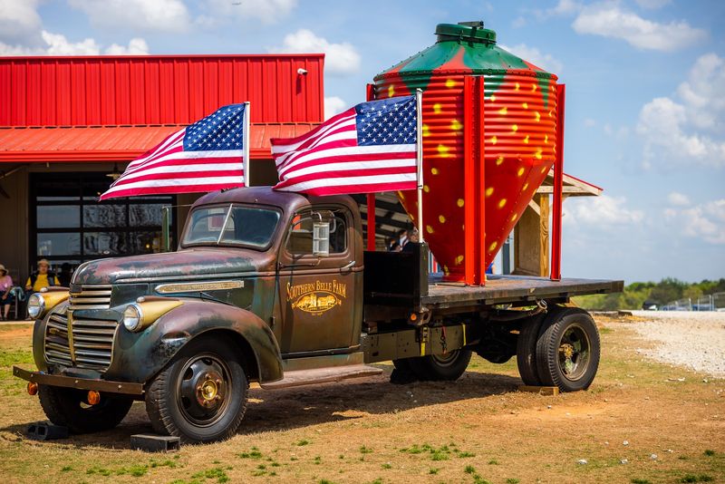 Why a Working Farm Day Hits Differently Than a Theme Park