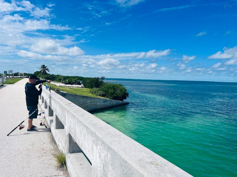 Fishing and Recreation Along the Bridge
