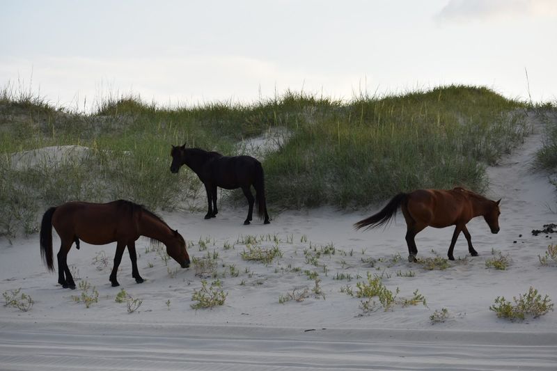 The Wildlife Refuge Surrounding the Estate That Completes the Experience