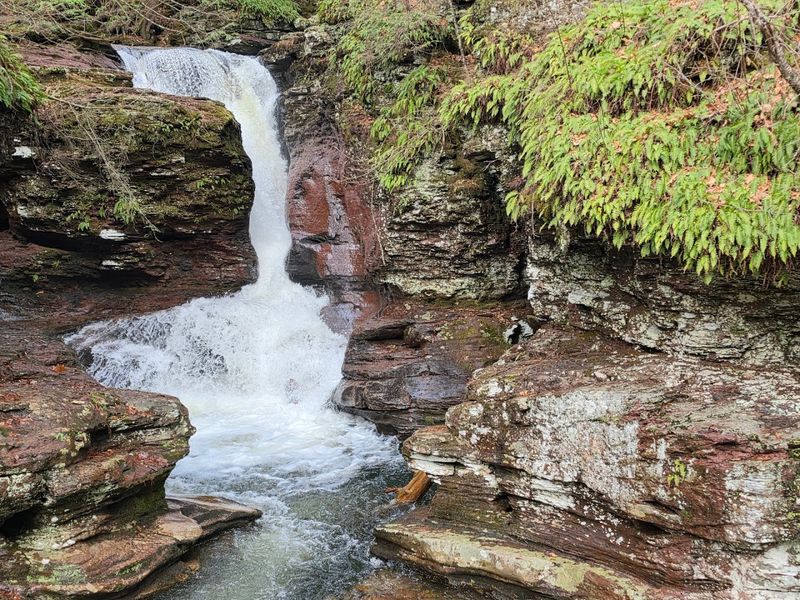 Ricketts Glen State Park — 22 Named Waterfalls and a Trail That Connects Them