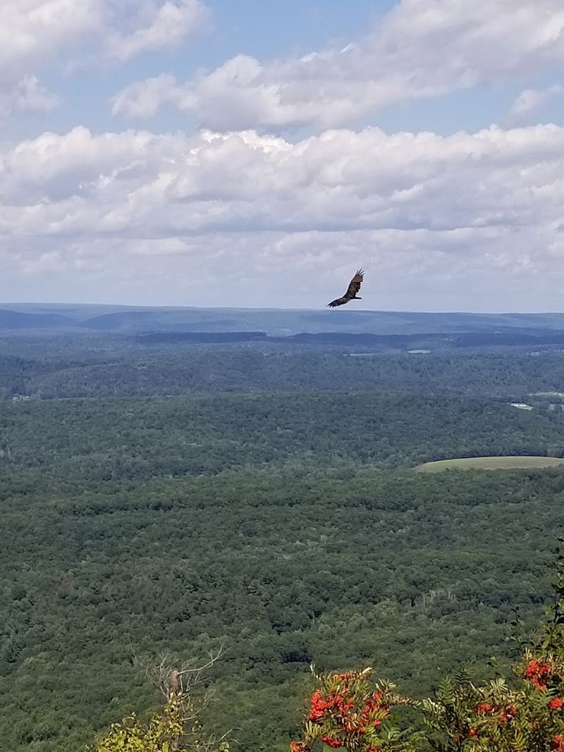 Hawk Mountain Sanctuary (Kempton)
