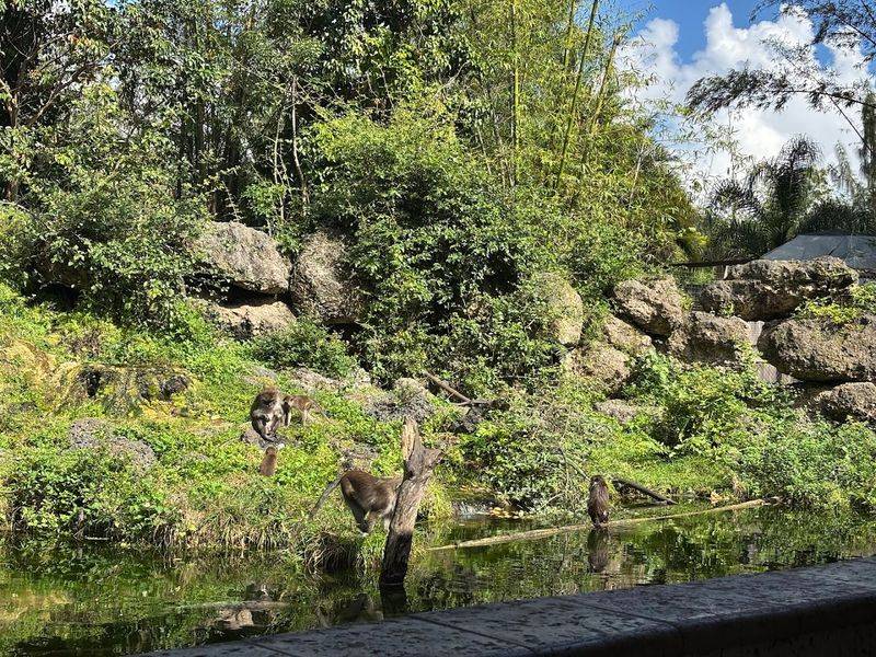 Highlighted Exhibits and Habitat Zones