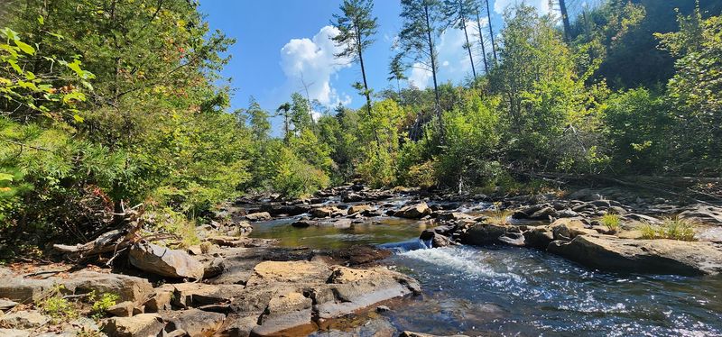 Jack’s River Falls via Beech Bottom Trail (Cohutta Wilderness)