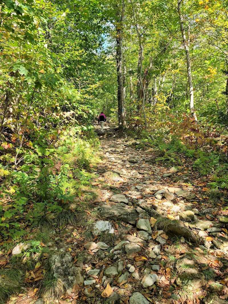 Mount Greylock via Cheshire Harbor Trail