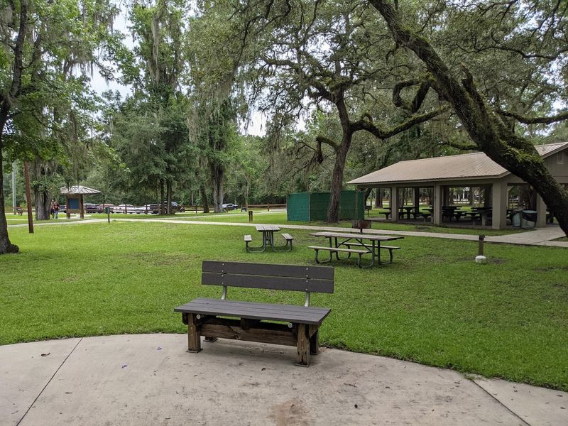 Primitive and Family-Friendly Camping Options