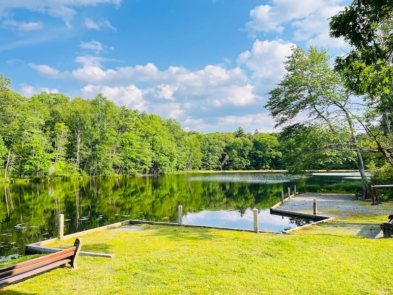 Pocono Mountains Wildflower Trails (Various Locations)