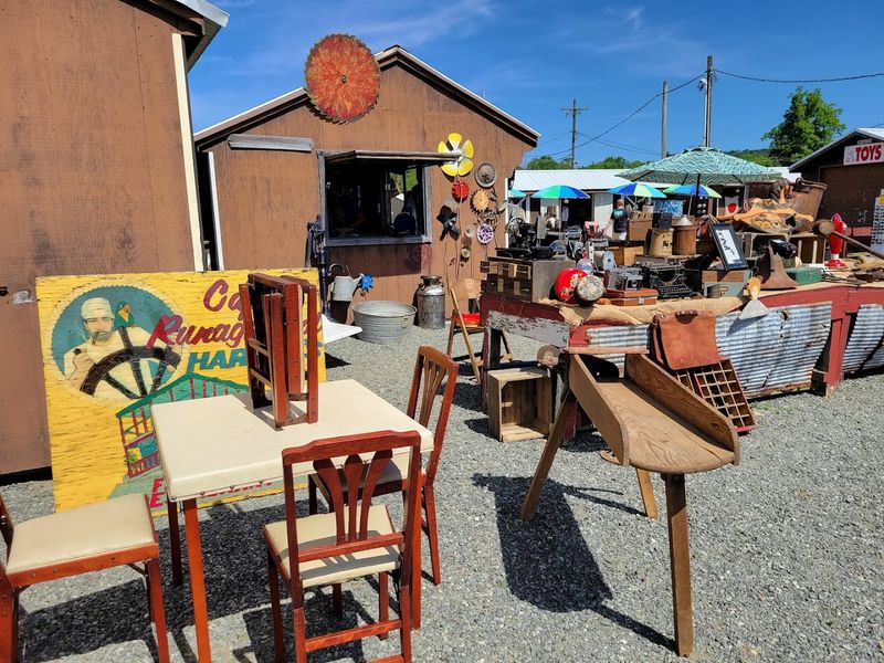 Family Friendly Finds