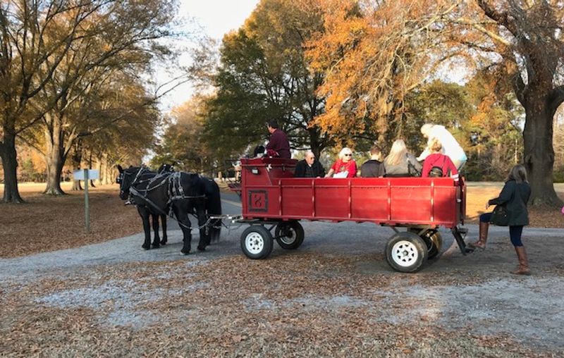 Easter Egg Hunt - Historic Hope Plantation