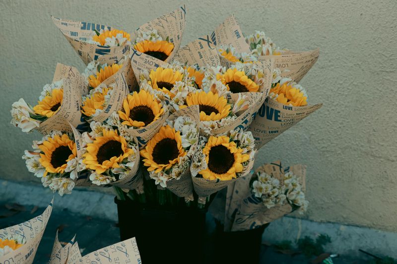 GardenView Flowers