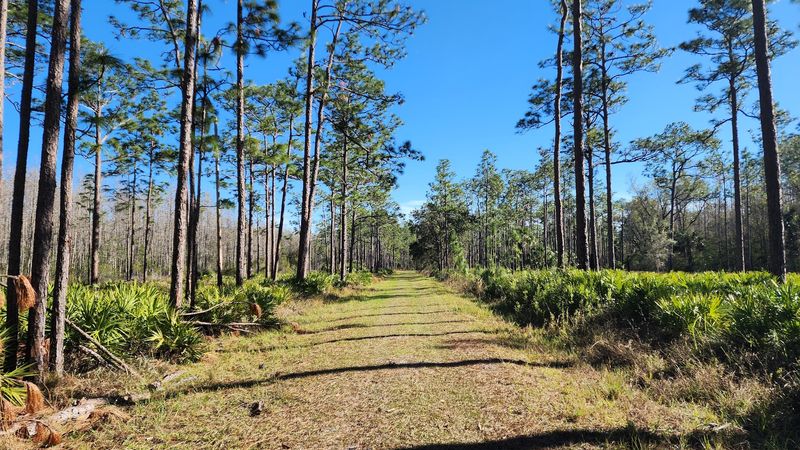 Cycling Easy Miles on Park Roads