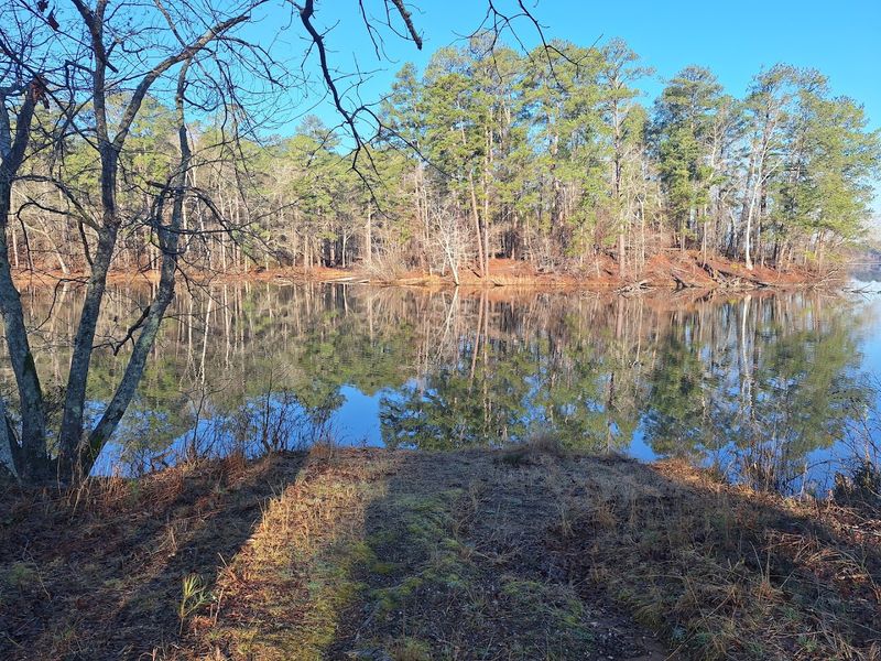 Birdwatching and Quiet Wildlife Moments