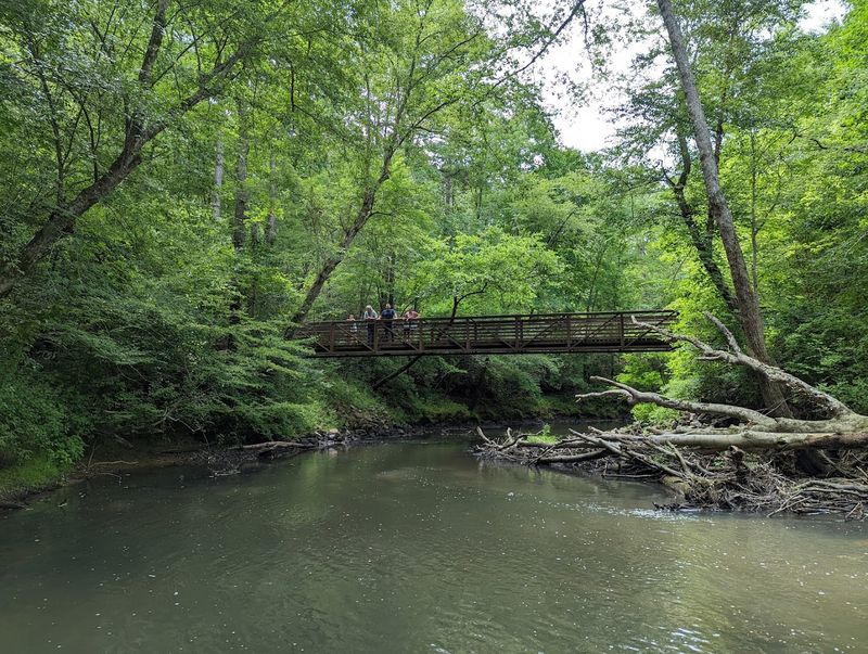 Medoc Mountain State Park Trails (Coastal Plain)