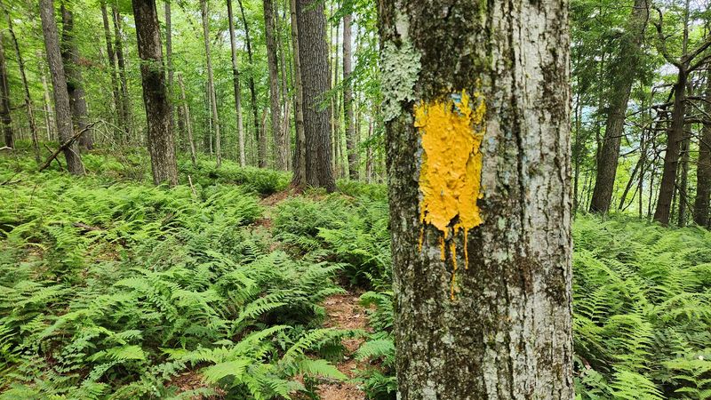 Sizerville State Park (Emporium)