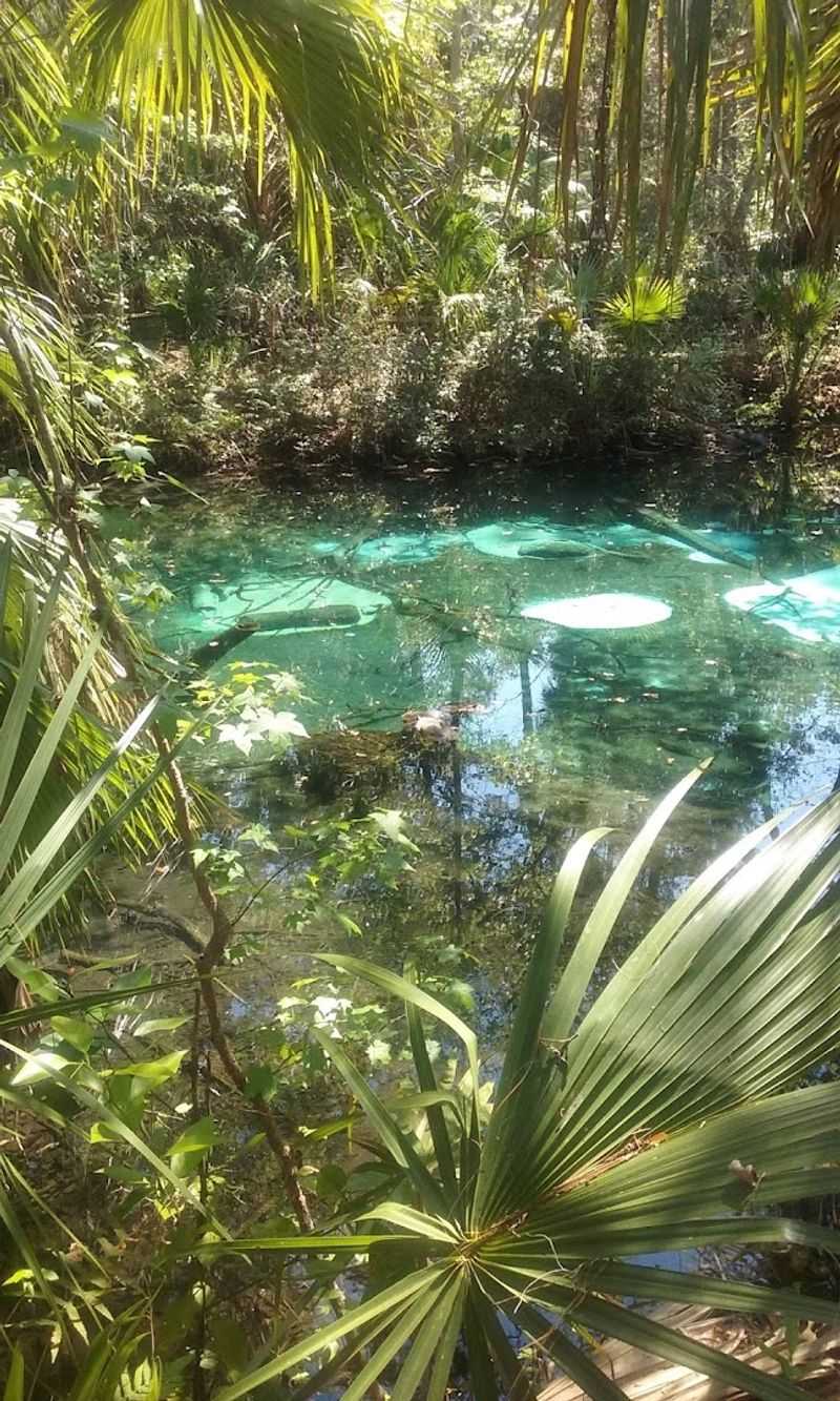 Juniper Springs Trail