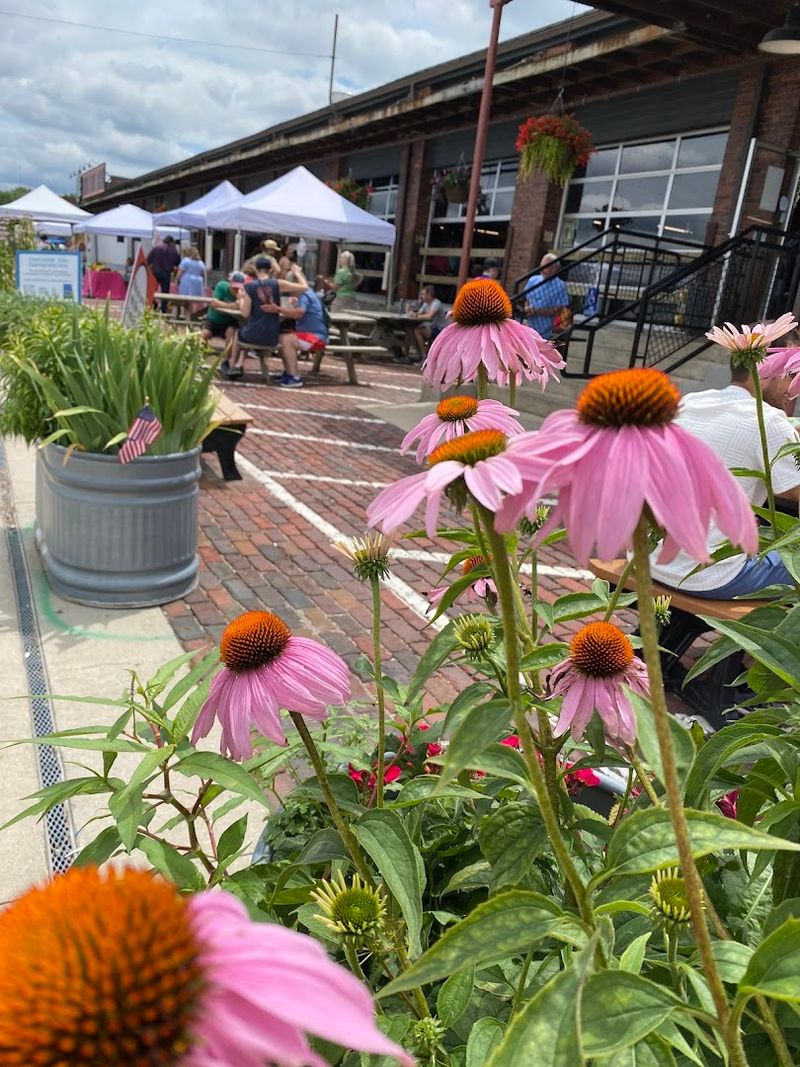 Seasonal Outdoor Market and Events