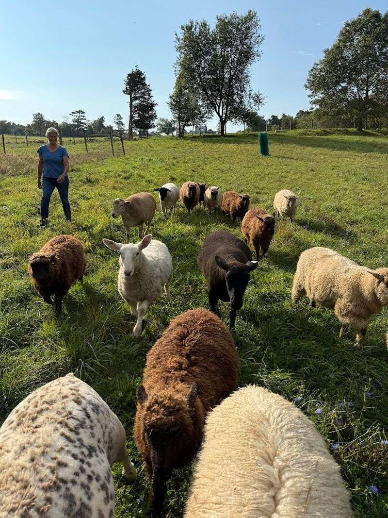 Weir River Farm