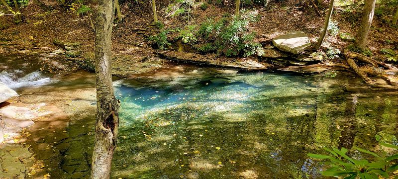 When the Quiet Morning Turns into a Weekend Scene