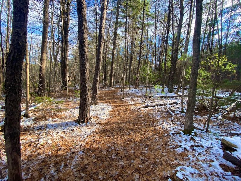 Scenic Trails Through 7,000 Acres of Wild Pennsylvania