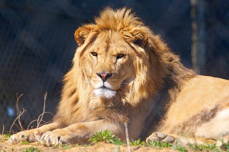 The Guided Tour Turns A Walk In The Woods Into A Field Lesson