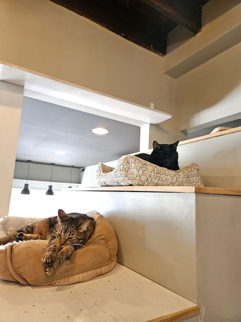 The Upstairs Bonus Most People Need