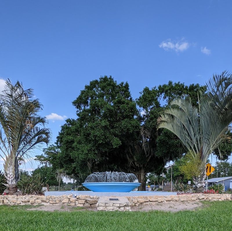 A Strong 55+ and Retiree Community