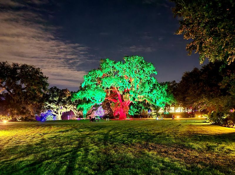 Seasonal Highlights and Events