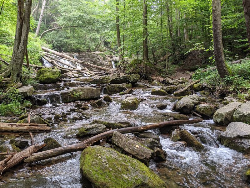 Dunnfield Creek Natural Area trailhead
