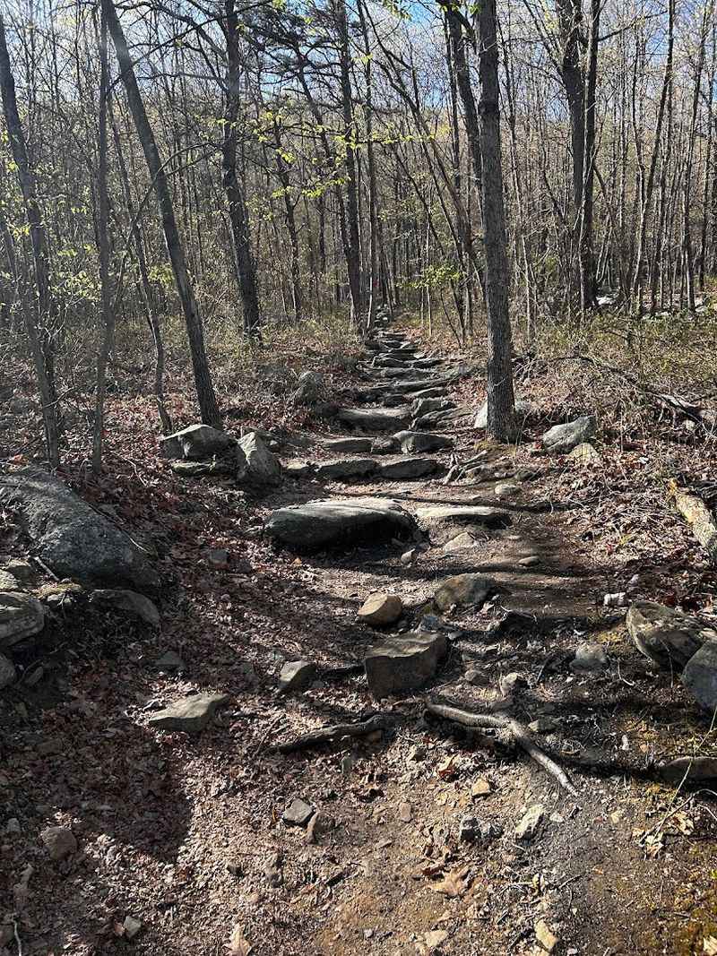 Glen Onoko Falls Trail