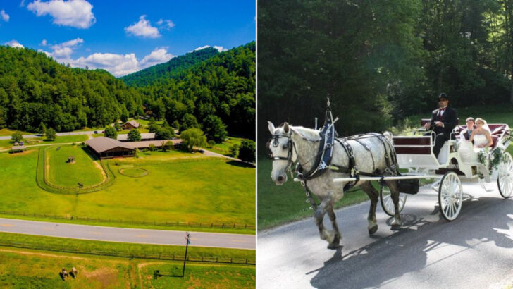Ride Through The Mountains At This North Carolina Ranch Resort That Feels Like A Western Fairytale