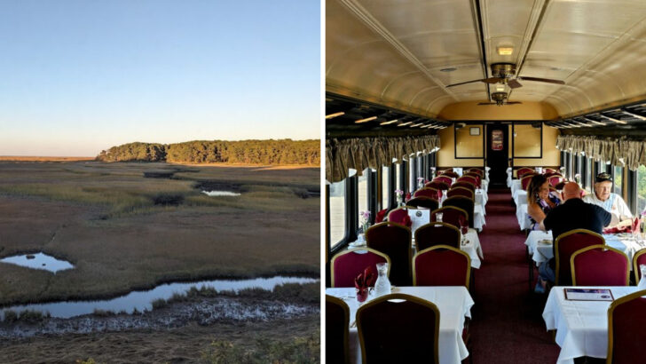 Ride a Vintage Train Through Cape Cod&rsquo;s Salt Marshes and Cranberry Bogs in Massachusetts