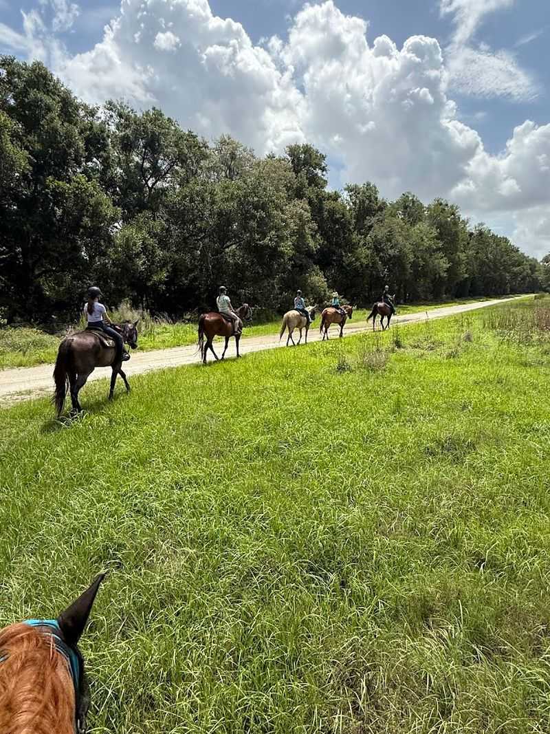 Unique Ride Experiences Beyond The Basics