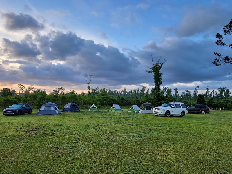 Florida Caverns State Park
