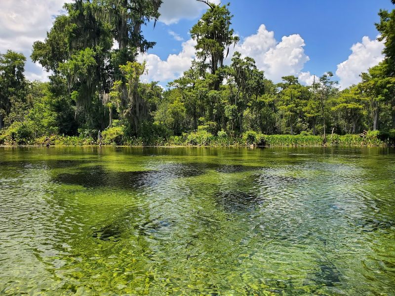 A Hollywood Filming Location